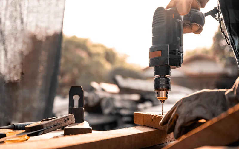 Professional repairing home damage caused by pests